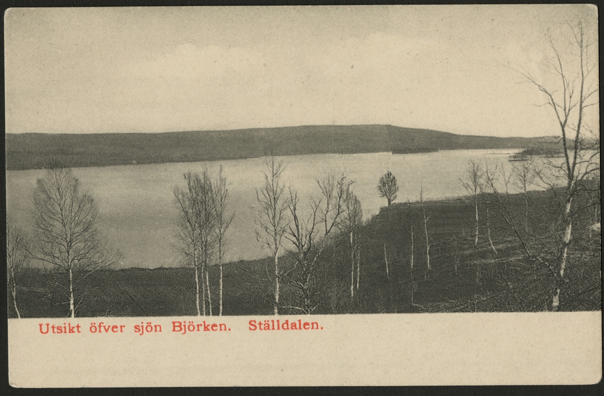 Vy över sjön Björken i Ställdalen.