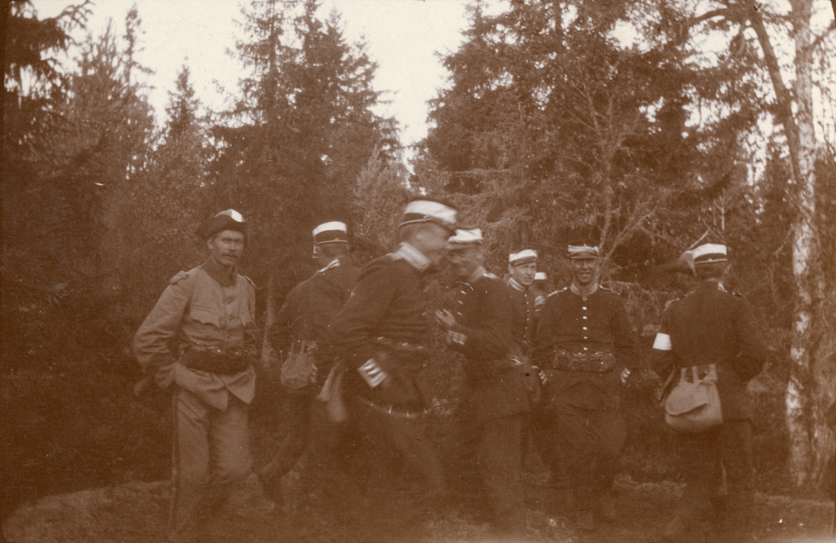 Soldater från Göta livgarde I 2 vitt band runt mössan.