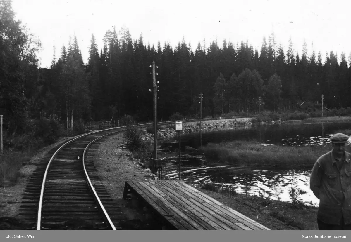 Ved Trevatn stoppested på Valdresbanen.