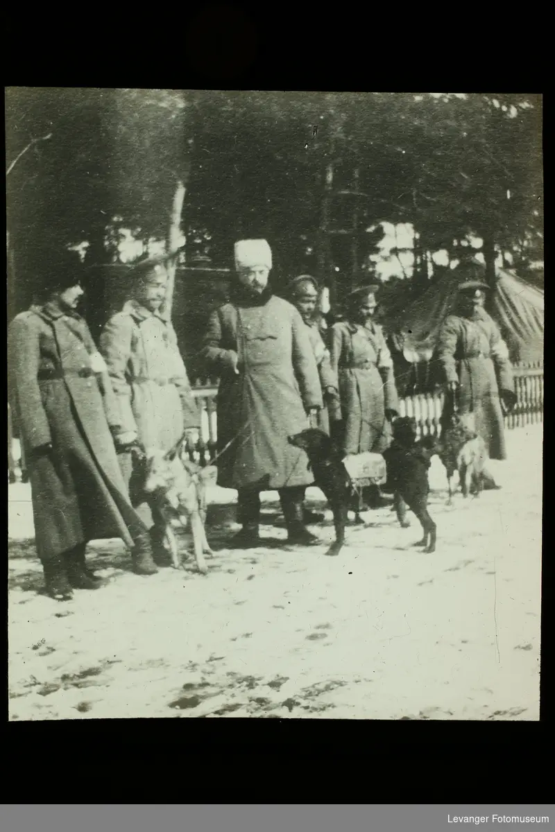 Hunder, tjenestehunder med førere under 1.verdenskrig.