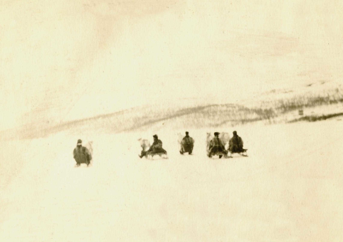 Mannskapet fra Frithjof på tur i reinsdyrsledene på isen ved Jarfjord 1918.