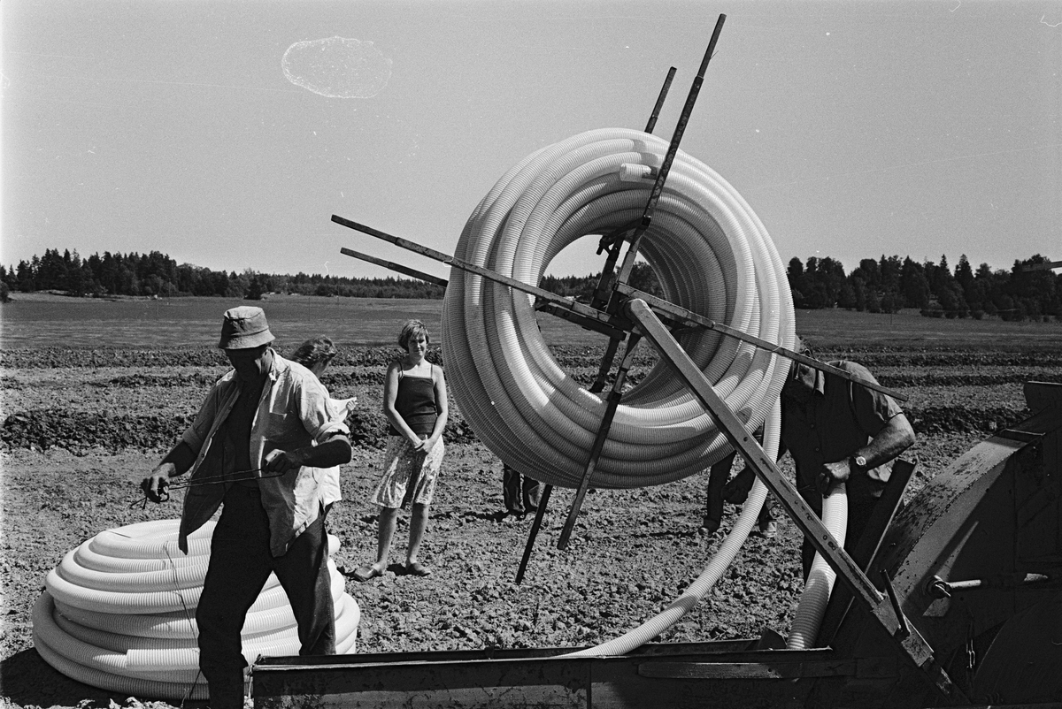 Nedläggning av dräneringsslangar i samband med täckdikning, Stora Bärsta, Uppsala-Näs socken, Uppland juli 1981