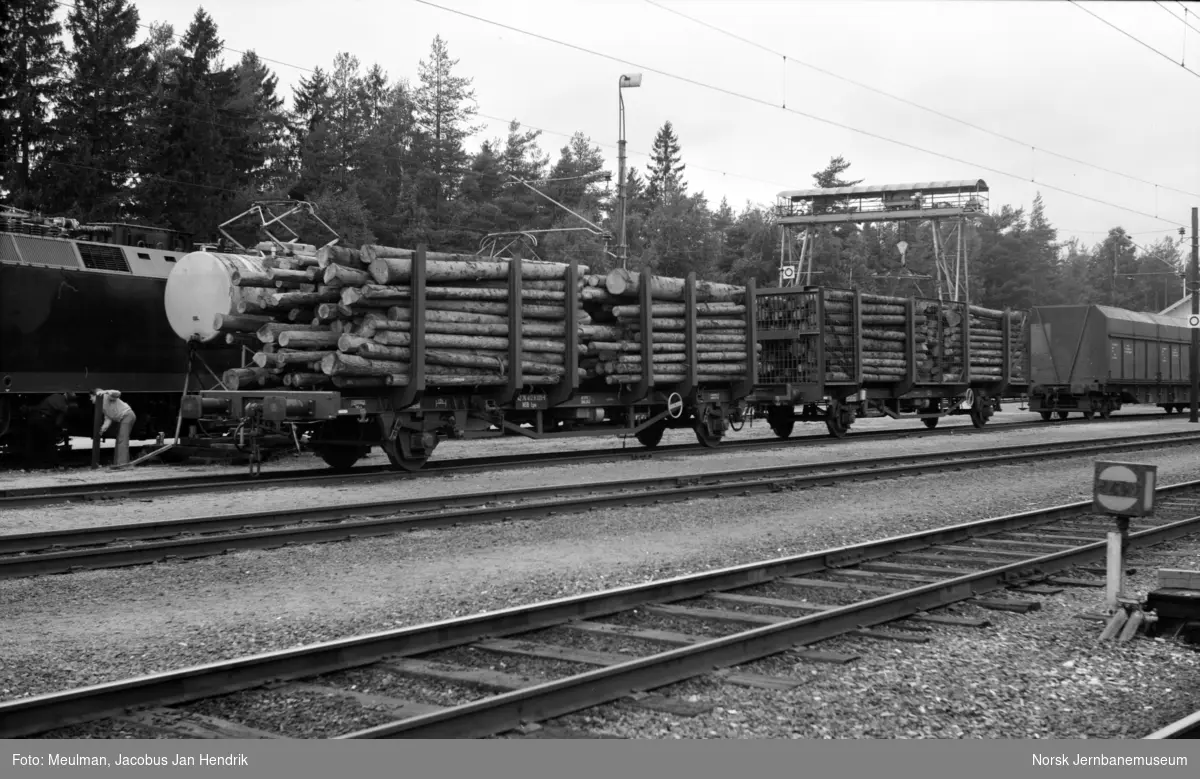 Lastede tømmervogner og tømmerkranen på Sokna stasjon.