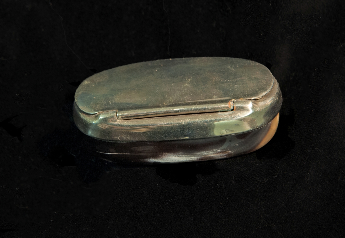 En oval snusdosa av gråvitt kohorn med lock m.m. i nysilver.