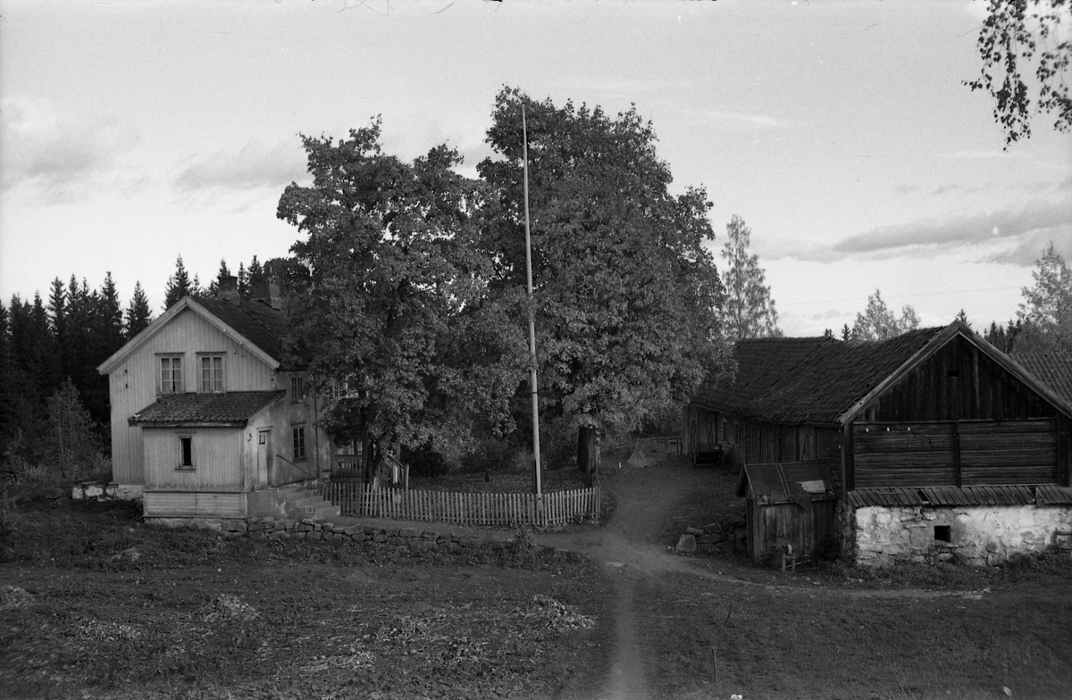 To bilder fra gården Gimle på Krabyskogen, Østre Toten, høsten 1955.