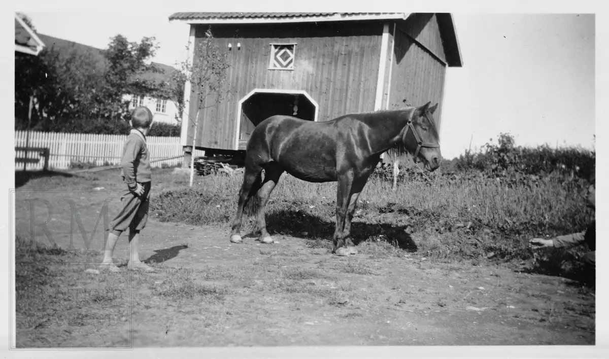 En gutt og en hest står foran et stabbur.