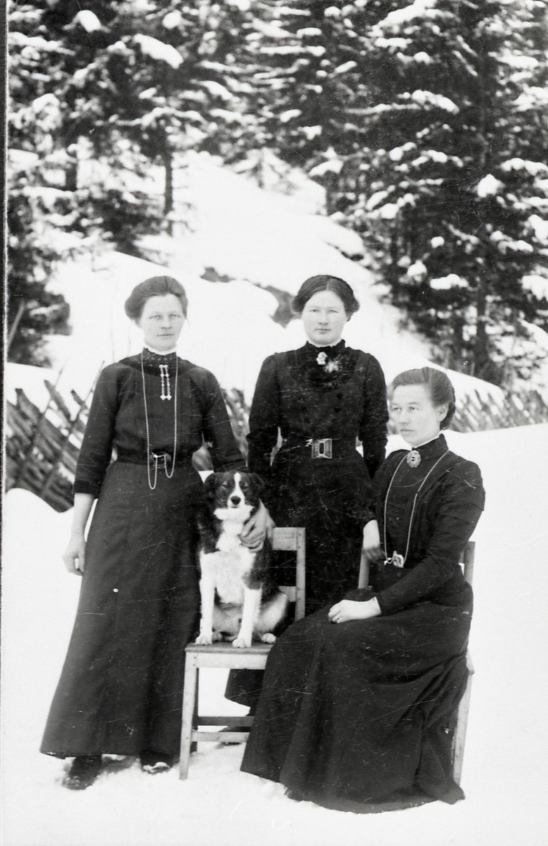 Tre damer står ute med ein hund på ein stol mellom seg.