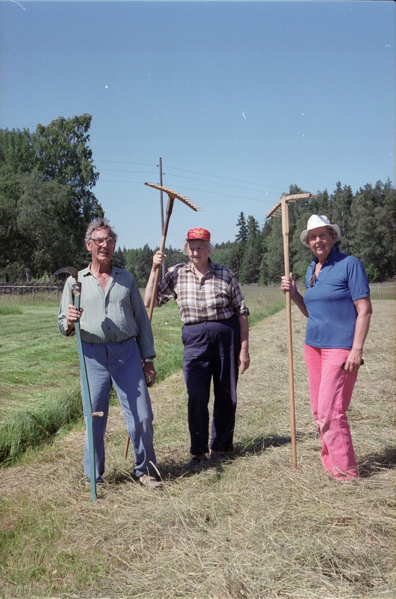 Okända personer avbildade med lie och räfsor, Lönnholmen, Gräsö socken, Uppland 1994 - 1995