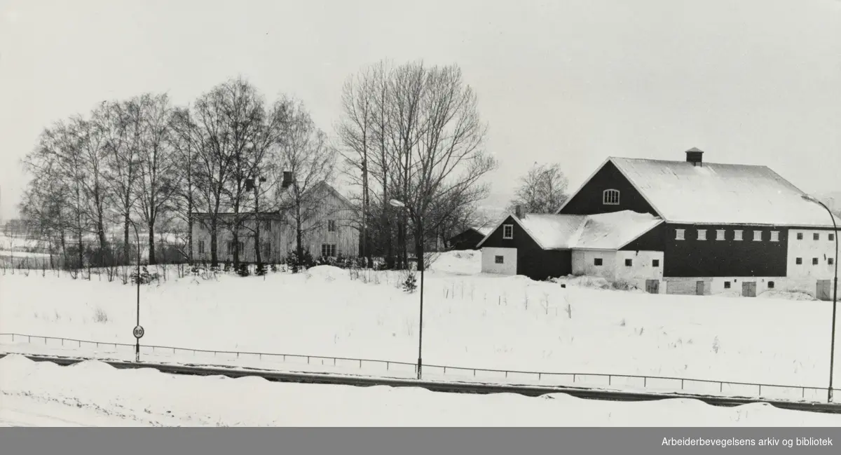 Furuset. Lindeberg gård. Februar 1979