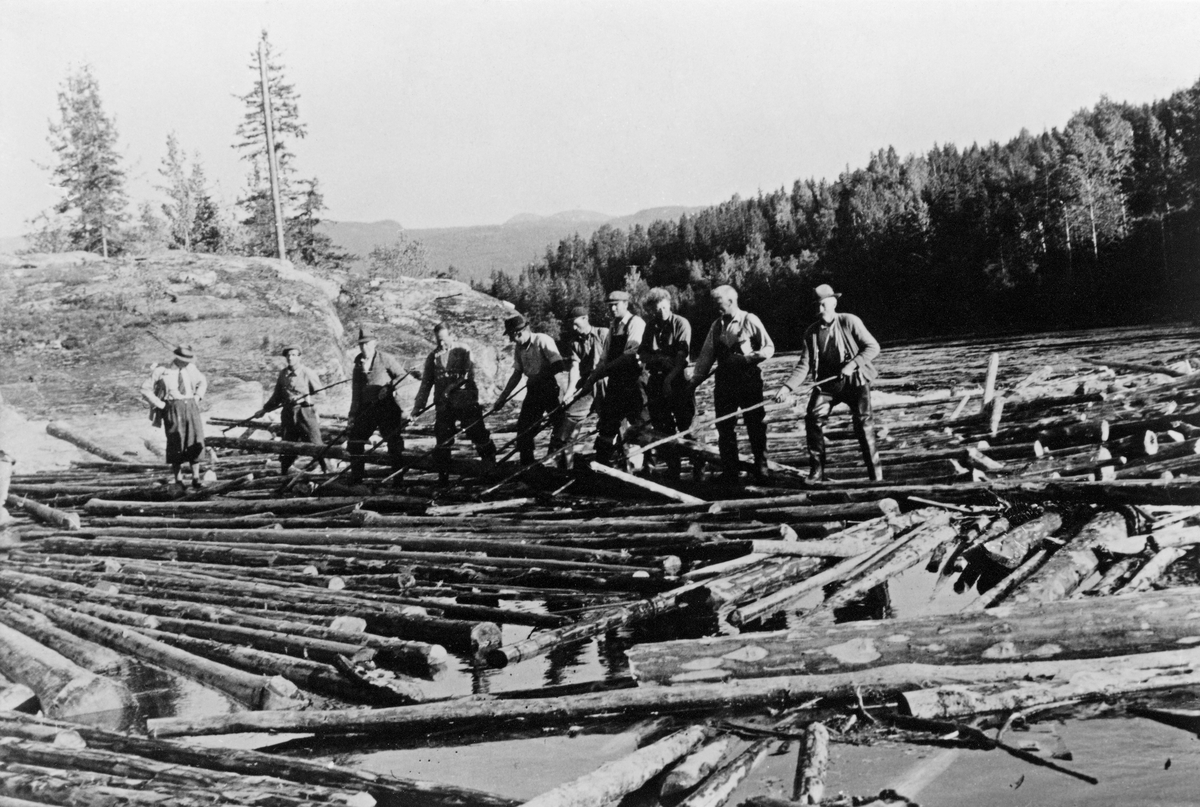 Tømmervase ved Vaskarvikje i Veggli i Rollag kommune i Numedal i 1950-åra. Fotografiet viser ti fløtere, de fleste med haker i hendene, oppstilt på rekke på en tømmervase som hadde satt seg fast på ei grunne i vassdraget.