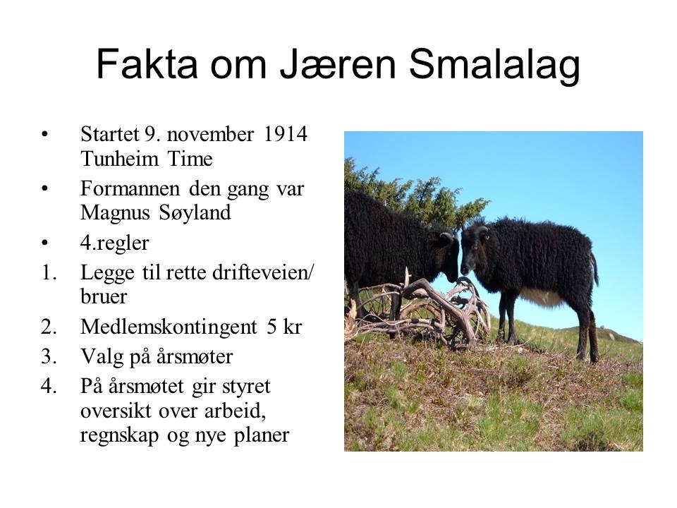 Microsoft PowerPoint presentasjon som presenterer "Jæren Smalalag". Bileta gir fakta om smalalaget, og viser nokre av lagets hytter og sauedrift i Setesdalsheiene.