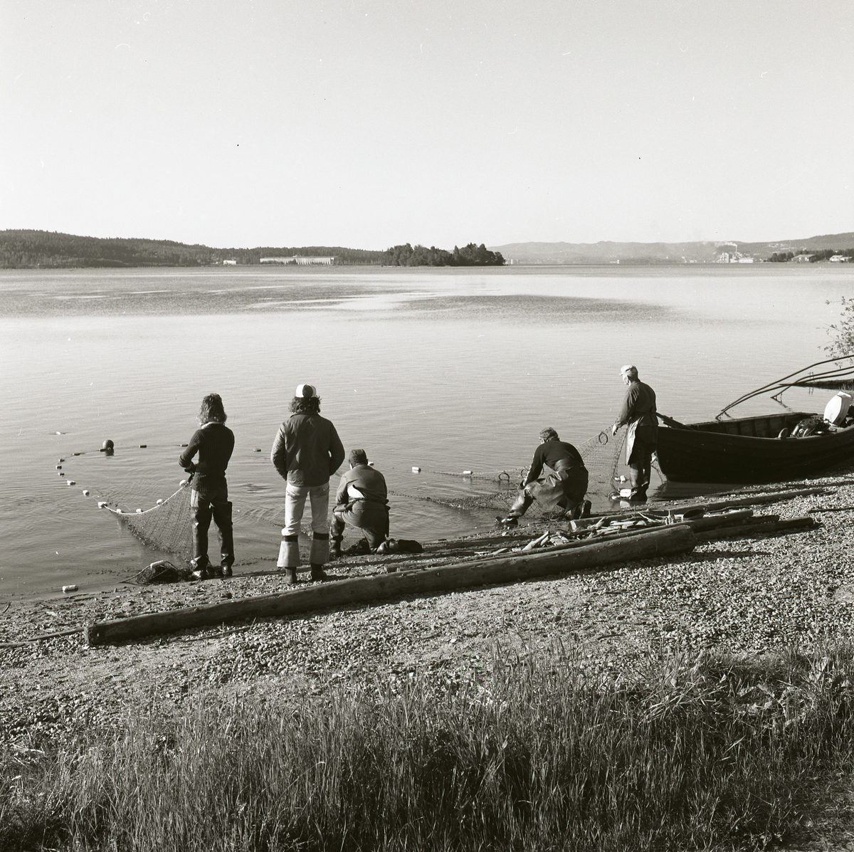 Fem personer står på en strand och drar upp fiskenät, Ångermanland 1974.