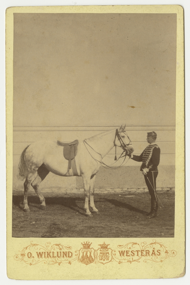 Officer vid Livregementets husarer K 3 med häst.
