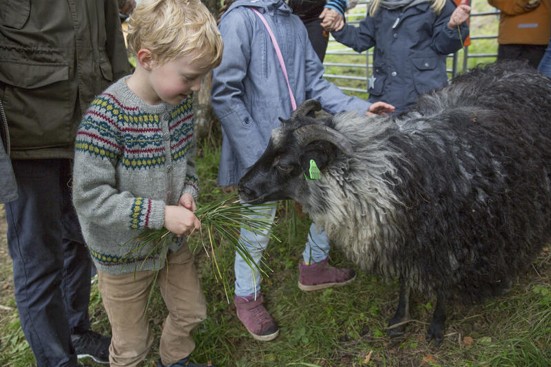 Høstdag på Bogstad Gård, familiearrangement for barn med dyr og mange aktiviteter