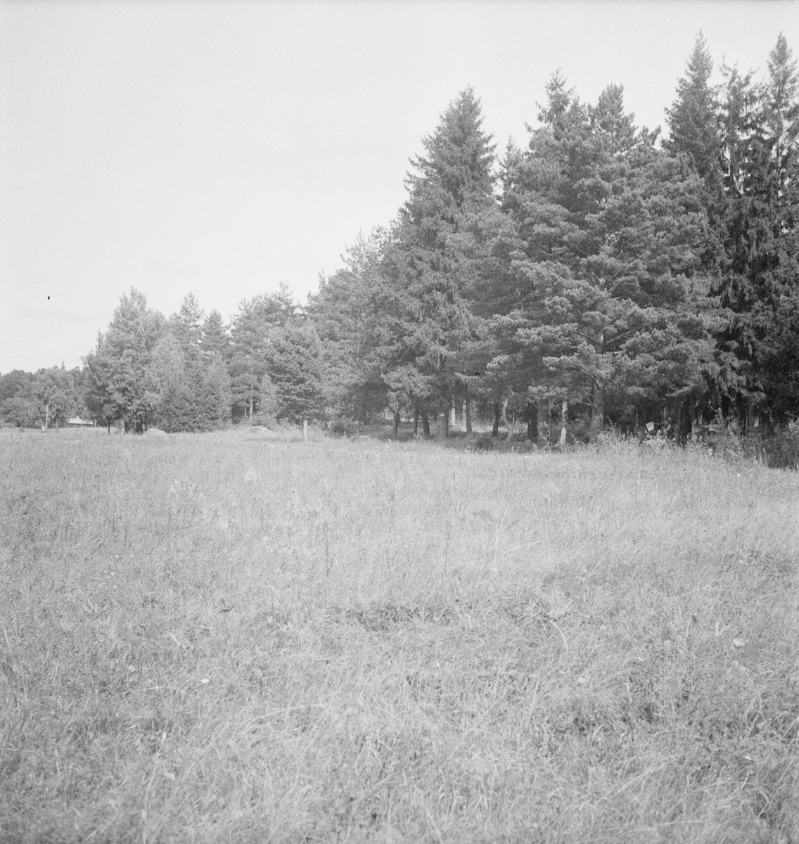 Olycka vid Rosenlund, Uppland 1947