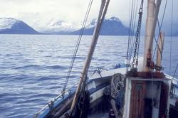 Flakstadvåg, 1976 : Bilde tatt ombord i en båt, utsikt mot l