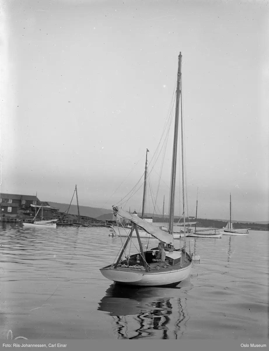 fjord, seilbåter