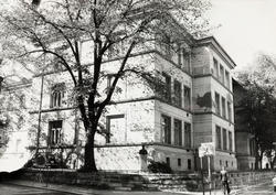 Møllergata skole. Juni 1978