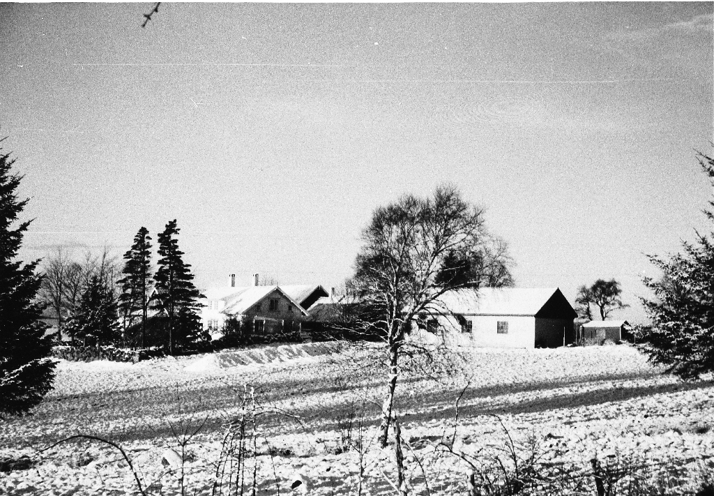 Vinterbilete frå Jørundshei, garden til Martin N. Kverneland (1909 - 1972)
Roehaug midt på biletet. Hønsehus til høgre i enden av maskinhuset som vart bygt på Bryne og kjørt på traktor til Jørundshei i 1956.