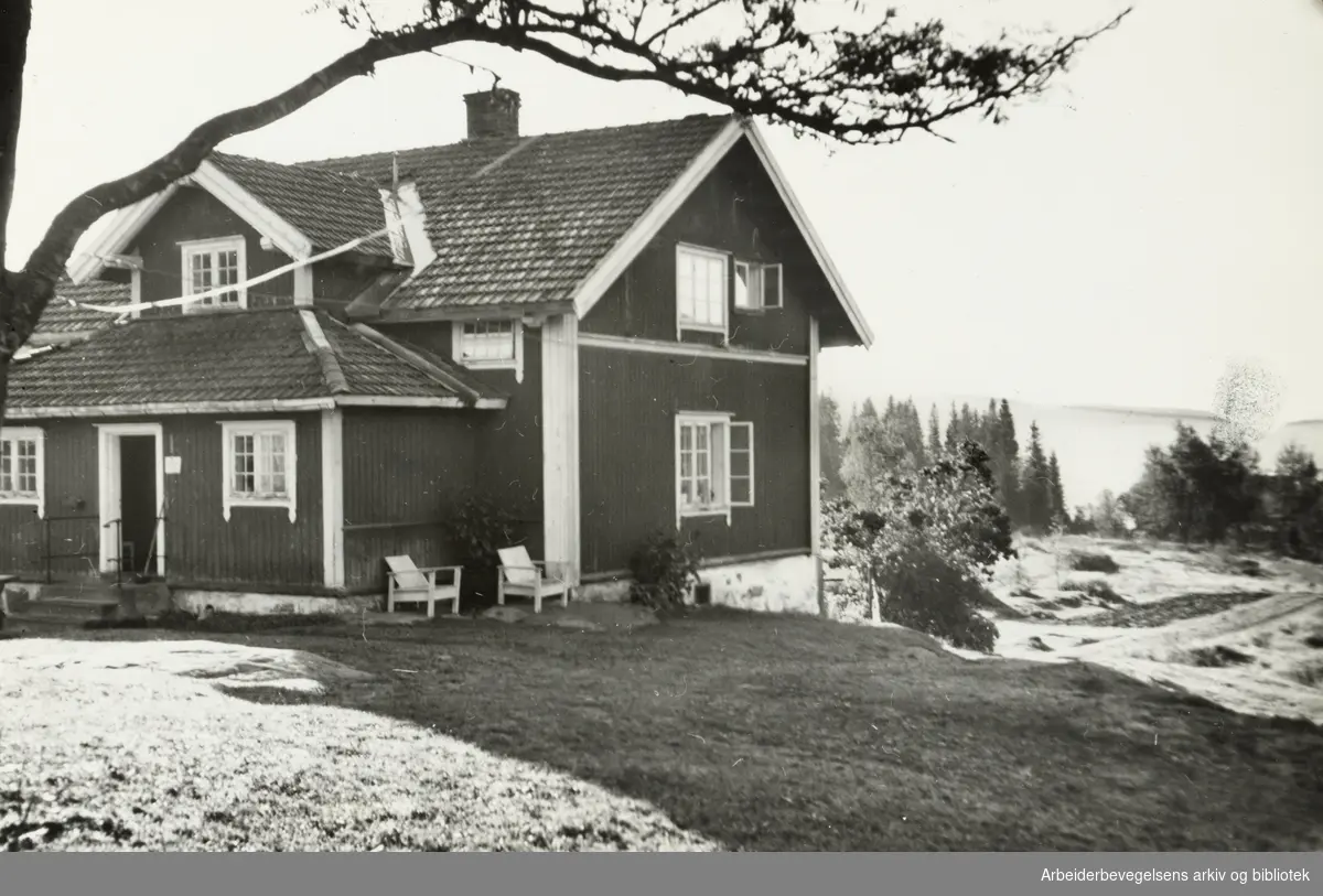 Nordmarka: Hakloagården som Arne og Else Ødegaard driver. September 1953
