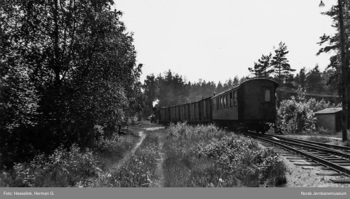 Damplokomotiv type XXI nr. 5 med blandet tog fra Byglandsfjord til Grovane på Hornnes stasjon