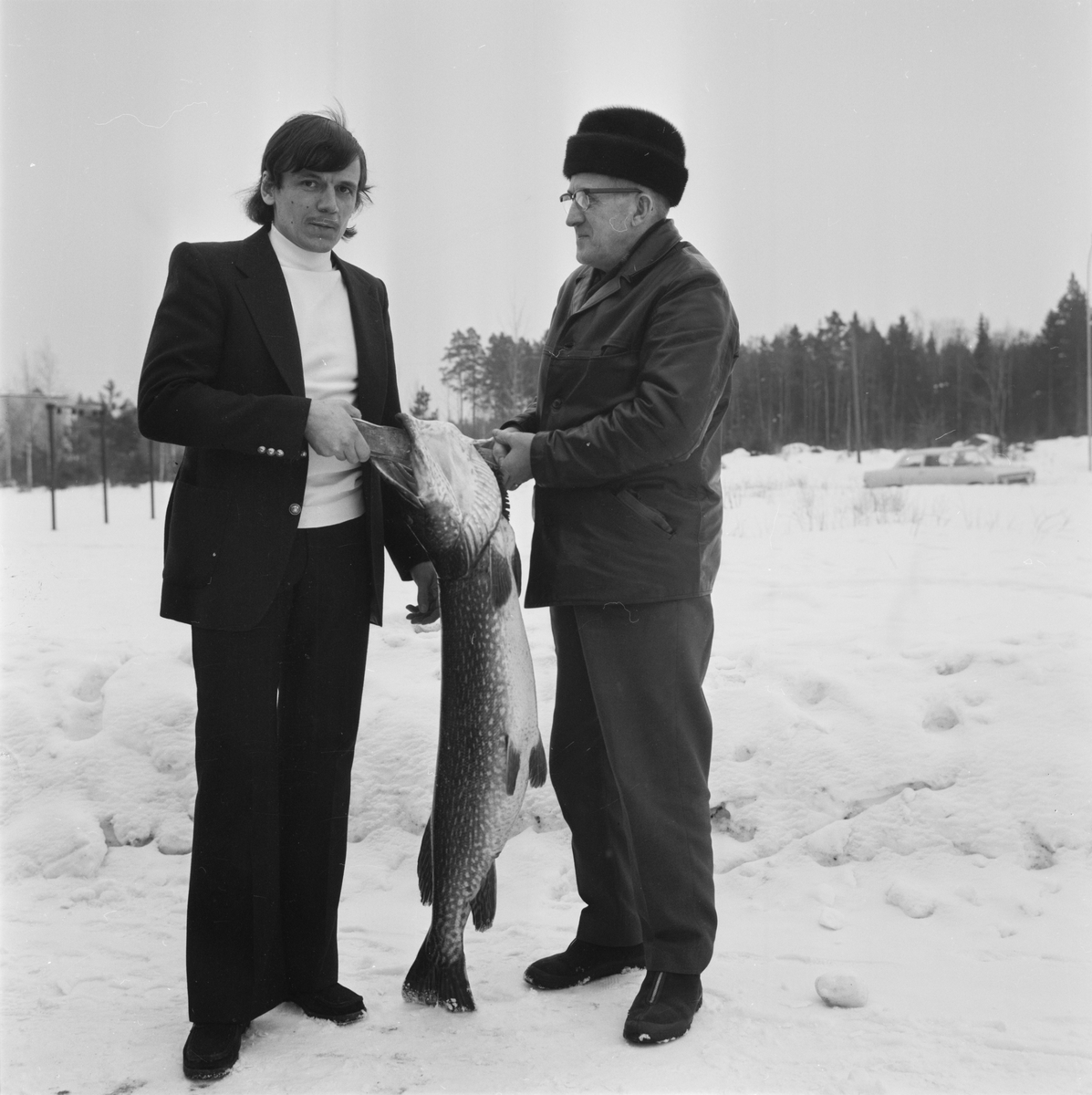 Rekordgädda i Söderfors, Uppland, mars 1972