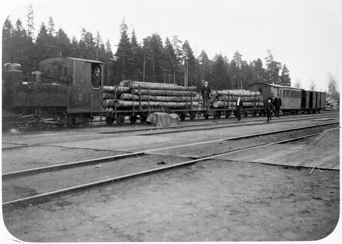 Ånglok med blandat tåg, timmervagnar, personvagn och godsvagn.