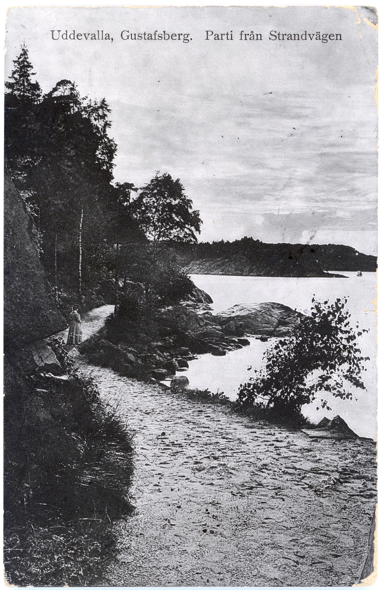 Tryckt text på vykortets framsida: "Uddevalla, Gustafsberg. Parti från Strandvägen."