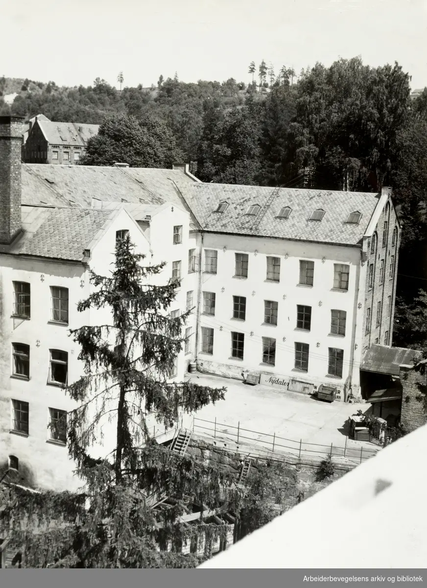 Nydalens Compagnie. Juli 1955