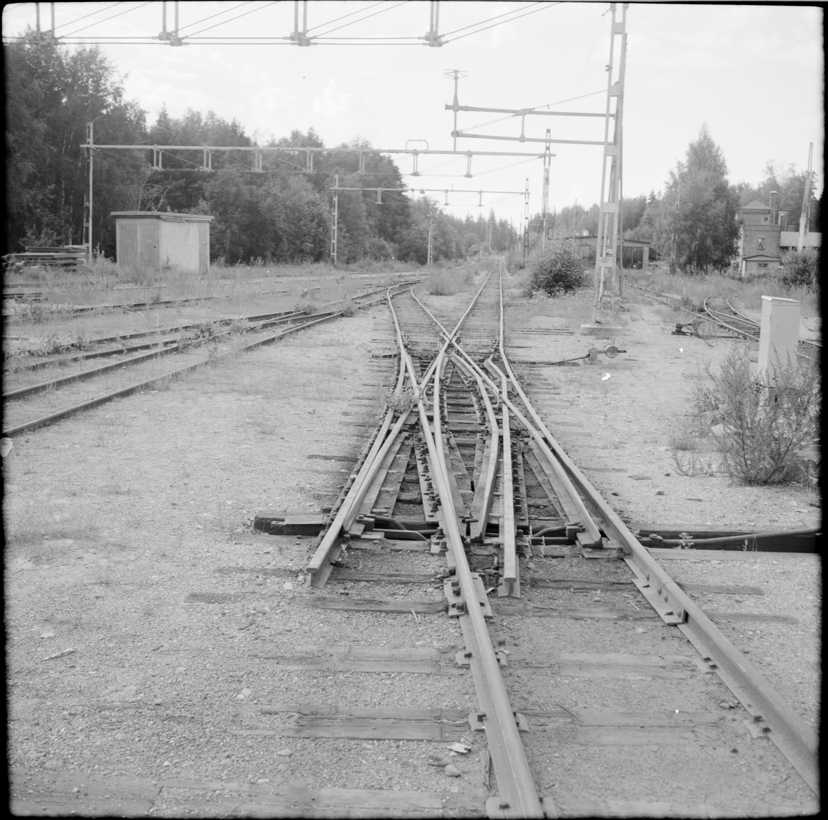 Järnvägsväxel på bangården i Rimbo, lokstallet skymtar till höger i bild.