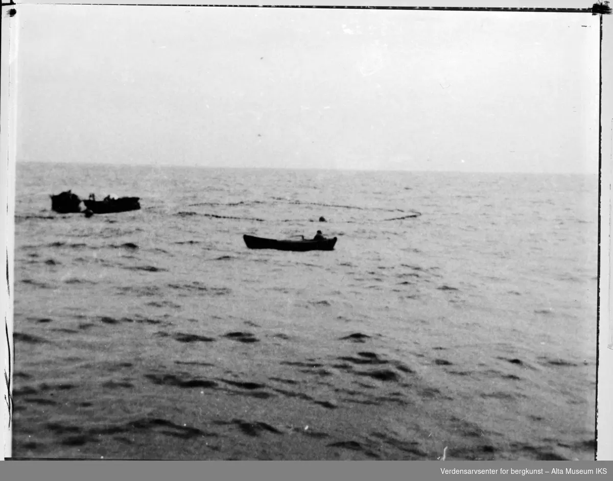 3 båter fisker etter polartorsken ''Ismort'' med note.