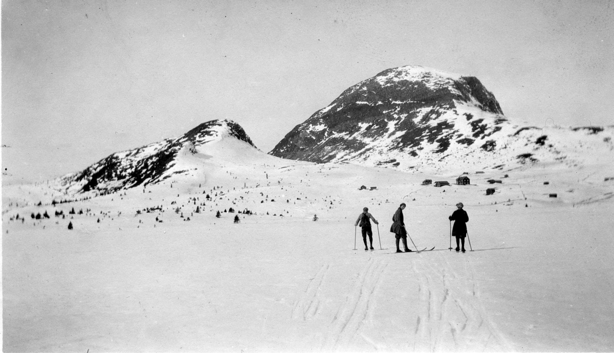 Tre personer på ski - ukjent fjellparti