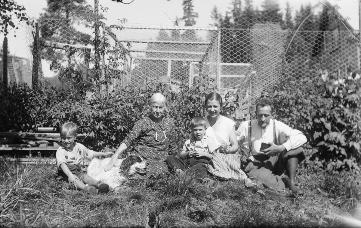 En eldre og en yngre dame med to barn. Fotograf Karl Olav Moe til høyre. Noen rom med nettinggjerde bak.
