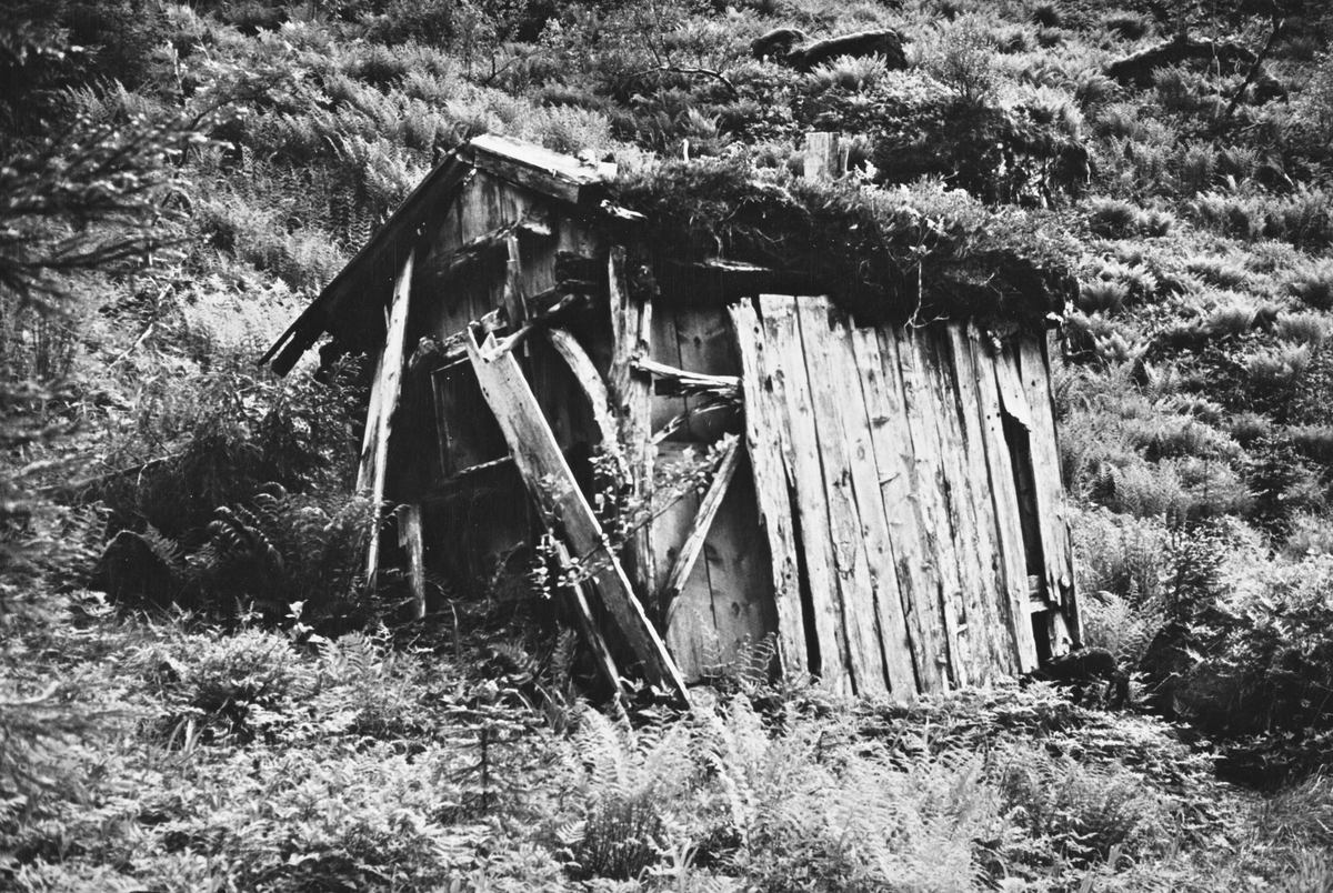 Dokumentasjonsbilder i serie av ei gammel postbu i Stigedalen, på grensen mellom Sogn og Fjordane og Møre og Romsdal. Denne bua brukte postmenn som hytte.
