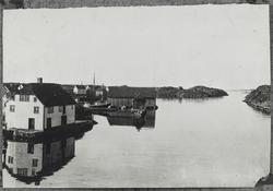 Haugesjøen sett mot nordvest, ca. 1890.