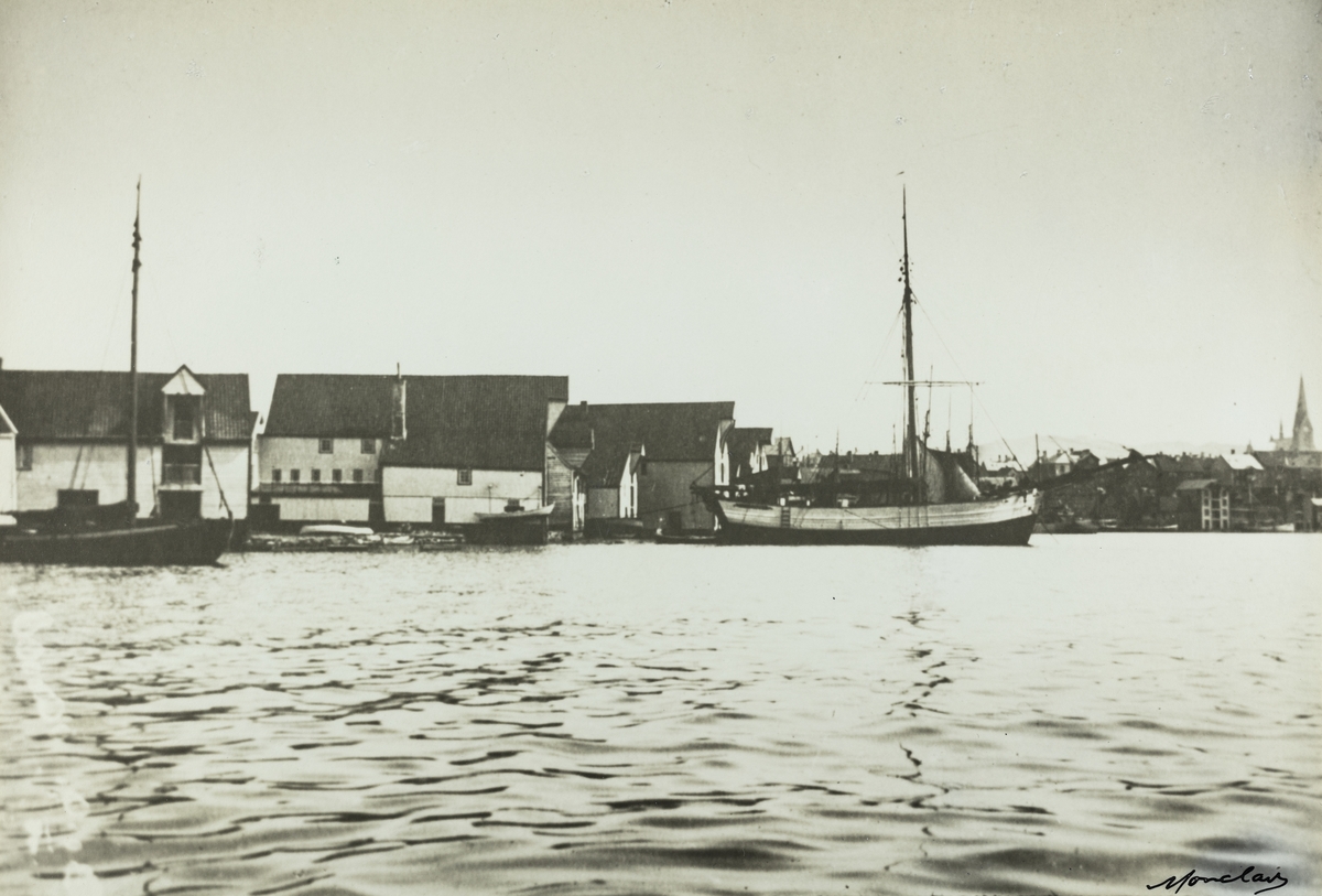 Hasseløy (Krossen) sett mot nordøst, ca. 1905.