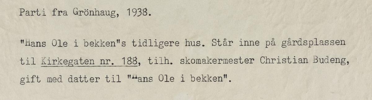 Parti fra Grønhaug, 1938.
