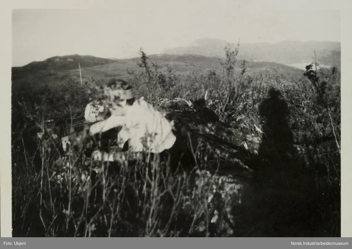 Kvinne ligger i eng på Skinnarlandsnuten, Møsstrond. Skyggen til fotograf er avbildet i bildet