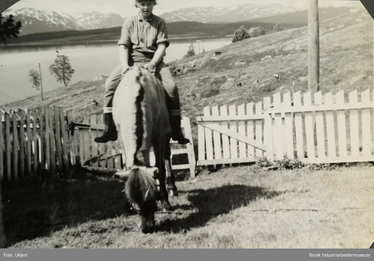 Anne Dyrland på fjordhest på gården Skinnarland, Møstrond. Hesten gresser foran gjerde