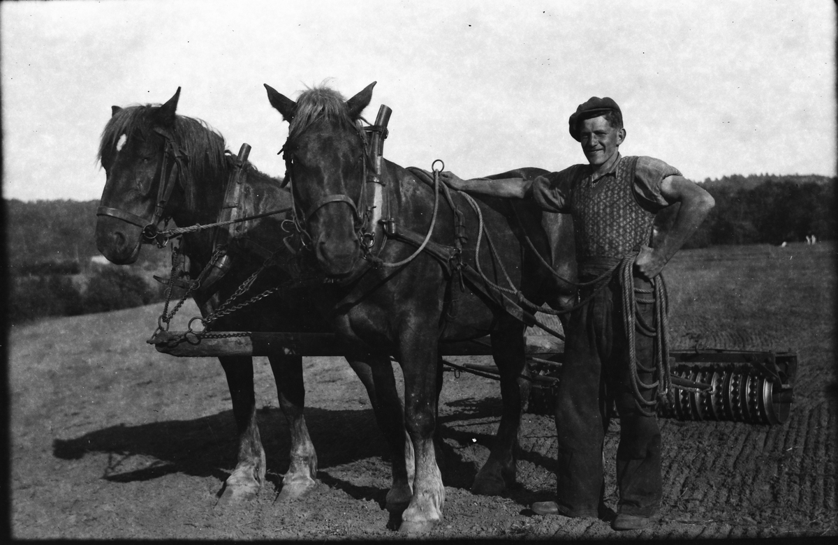 En man poserar vid sina två hästar som drar en ringvält på åkern. Han bär en kortärmad skjorta med resår i ärmarna och väst.