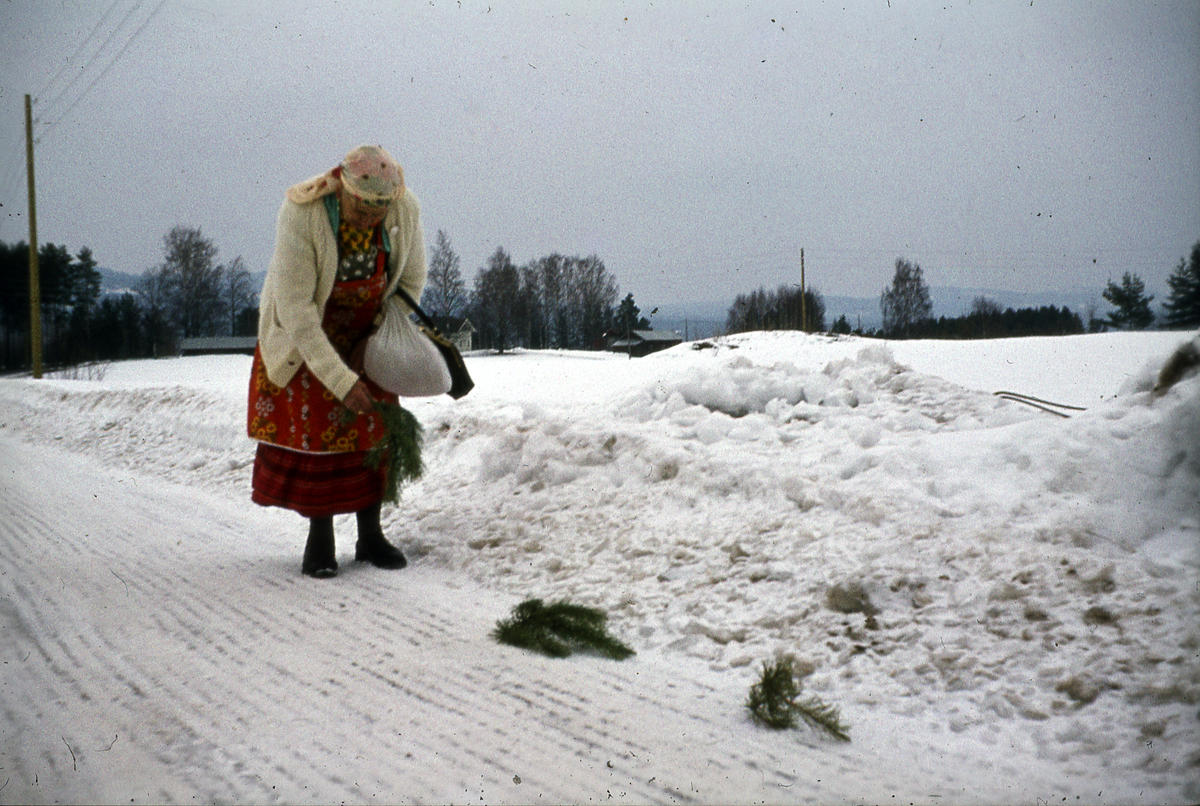 Milla legger ut kvister som tegn til andre tatere. Ca. 1973.