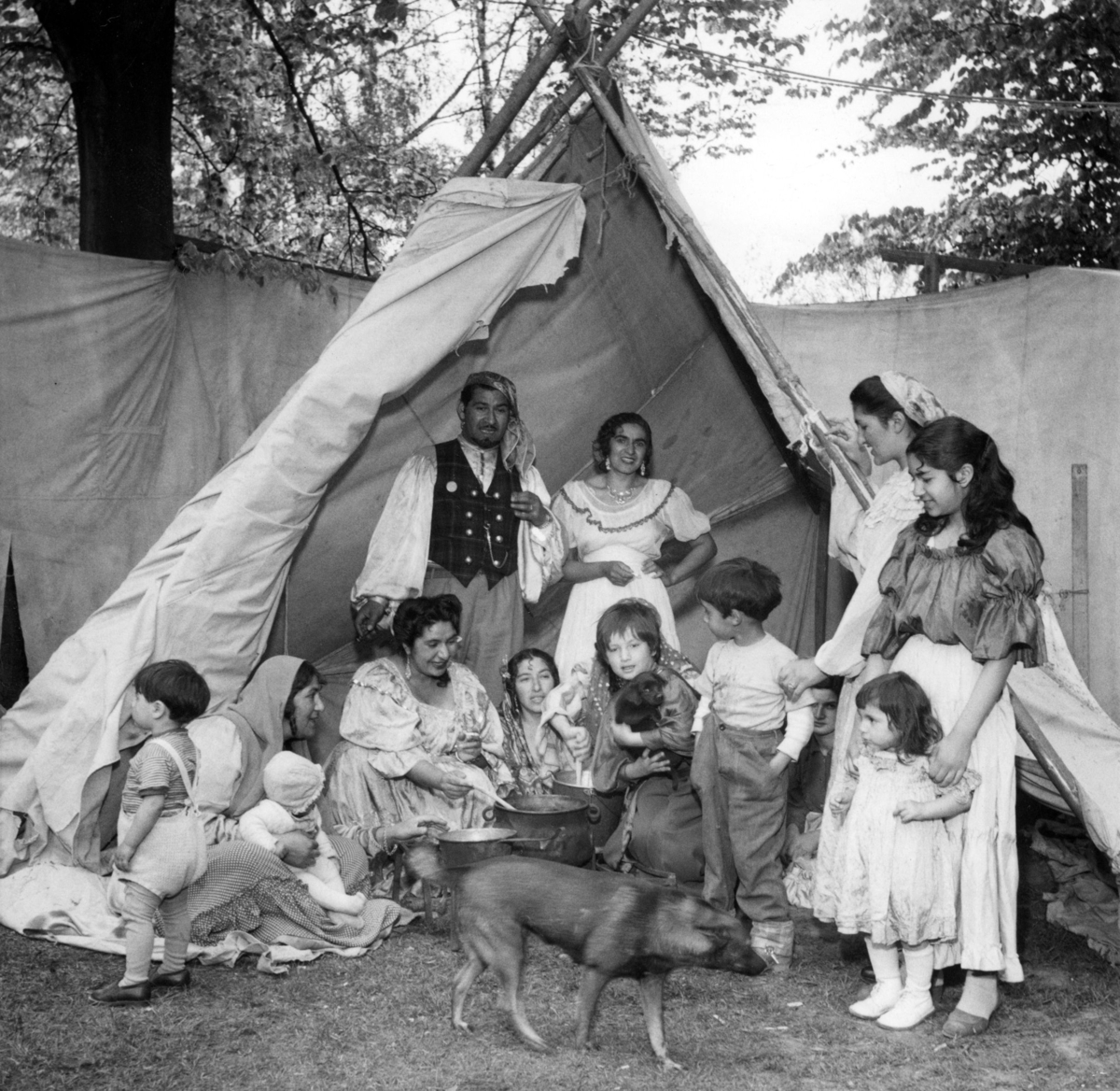 En familj har installerat sig i ett tält i Folkparken i Lund 1954 och erbjuder Lundaborna en färgsparakande musik- och dansshow. Musik har för romer i alla tider varit både en försörjning och en viktig del av kulturen.