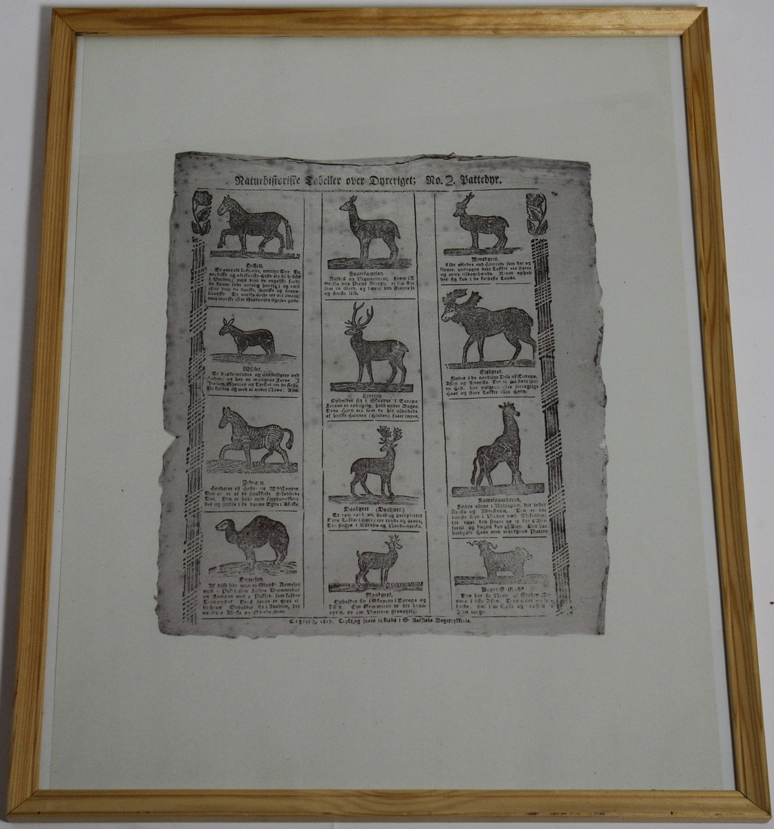 Naturhistorisk tabell med informasjon om 12 ulike pattedyr. Ti av desse er: hesten, eselet, zebraen, kamelen, hjorten, dådyret, rådyret, reinsdyret, elgdyret, og sjiraffen. Dei to andre er vanskelege å lese. Teksta er trykt med gotisk skrift i Sivert Aarflots Boktrykkeri. Tabellen er datert 1817. Sivert Aarflot (1759-1817) var ein lærar, gardbrukar, lensmann, boktrykkar og bladutgjevar i Volda på Sunnmøre. Han var den fyrste som opna boktrykkeri utanfor dei store byane i 1809. Tabellen med informasjon om pattedyra er i glas og ramme.

Kjelde:
https://nn.wikipedia.org/wiki/Sivert_Aarflot (Lesedato: 03.03.2020)