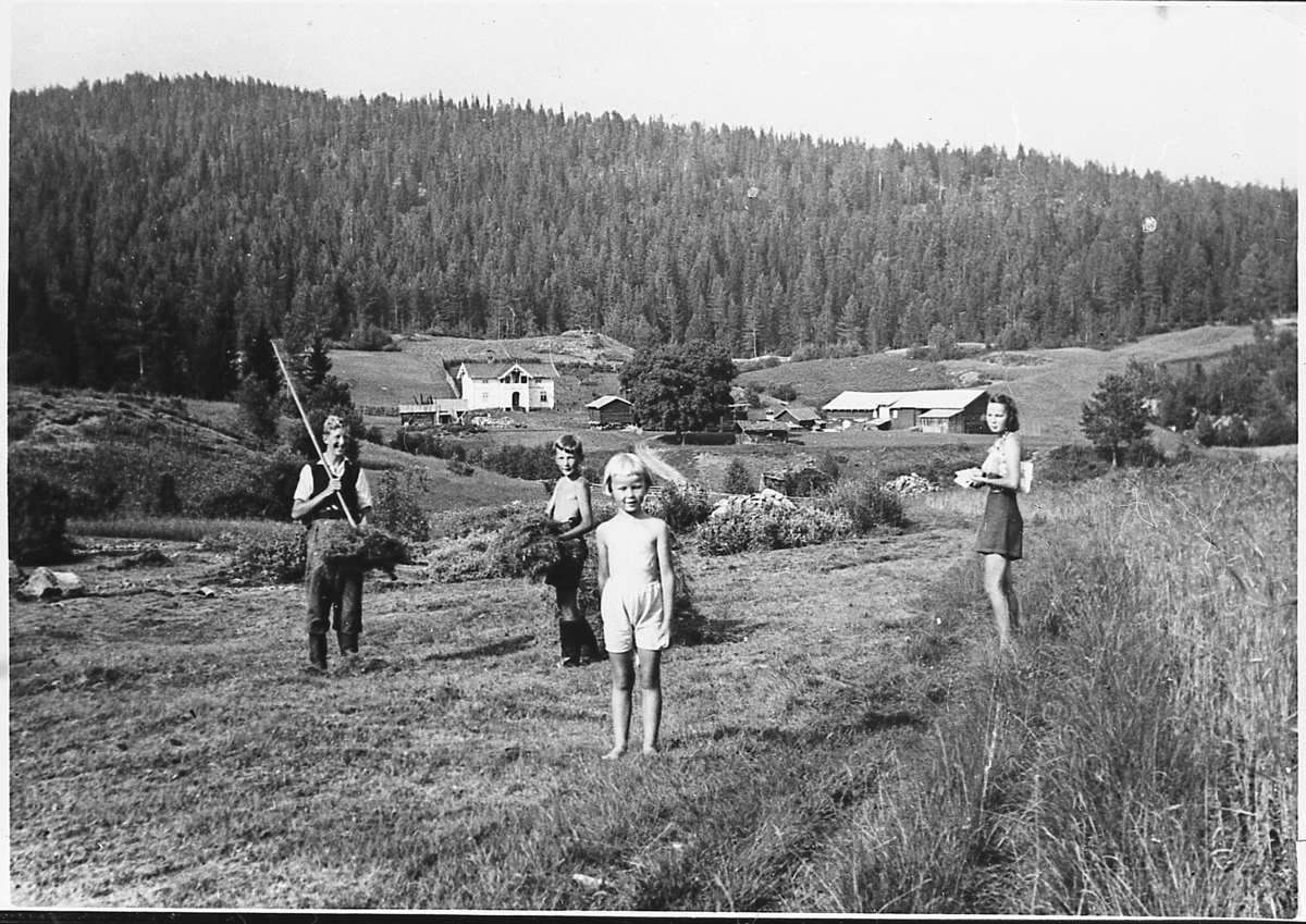 Slåttefolk på Bergrud på Greenskogen, omkring 1942.