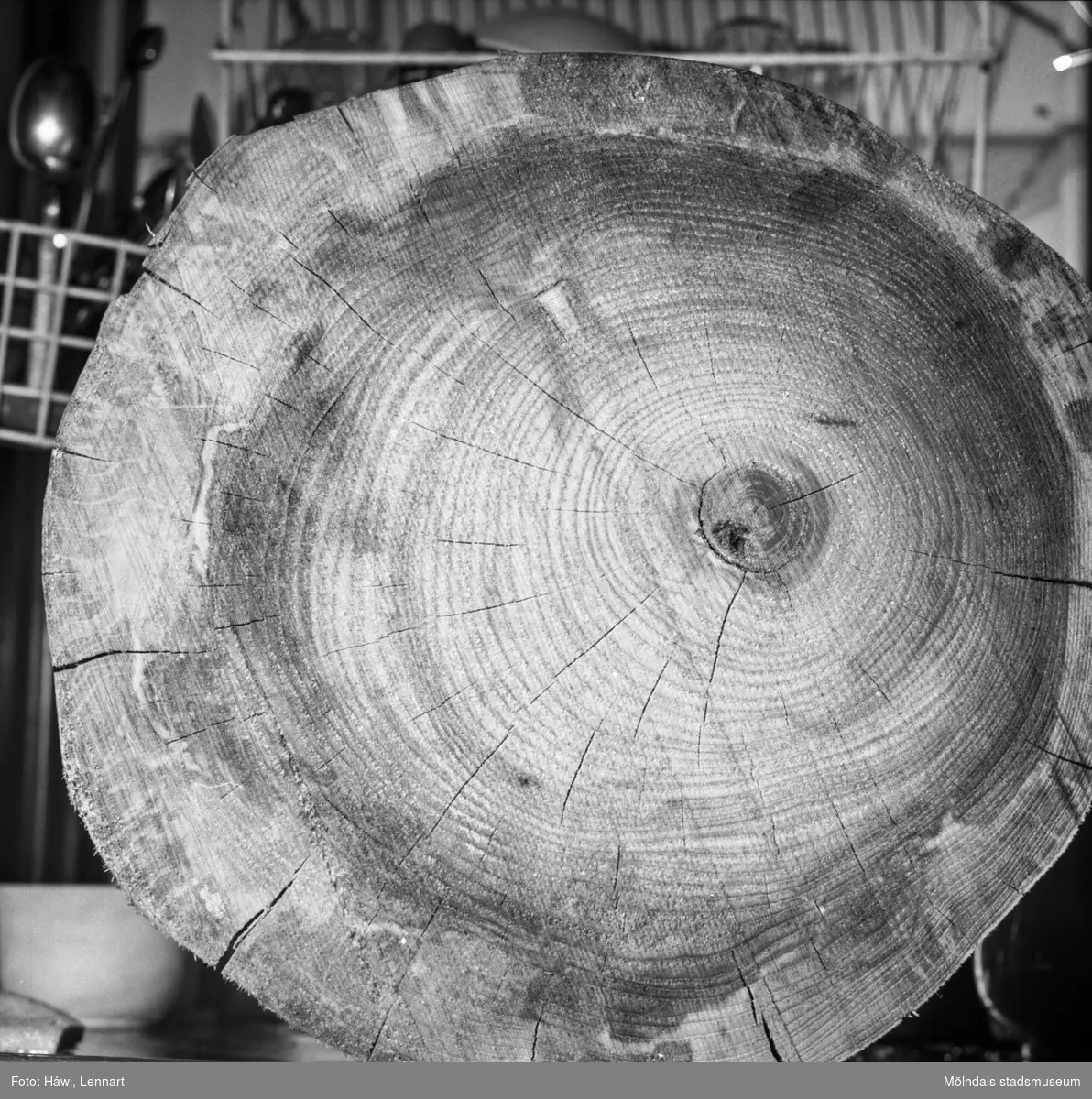 Detaljfotografi av träådringar på trästock. Pappersbruket Papyrus i Mölndal, 8/1 1960.