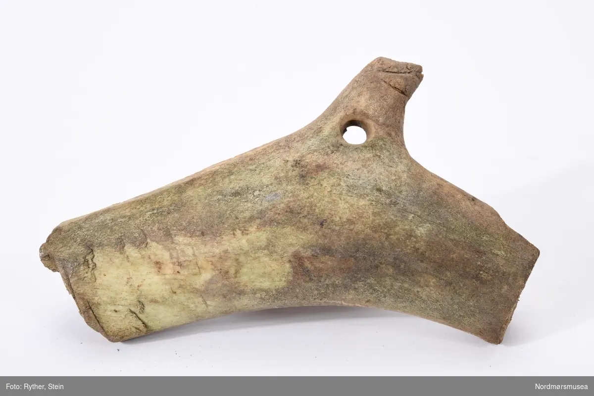 Et hornstykke funnet i Haugaskaret, Halsa (Heim), nær minnelunden til Tølløv Foldal. Er visstnok et stykke av et hjortehorn. Noen tegn er skåret inn på den ene siden og i enden er den avsaget. Må ha vært tiltenkt et eller annet - kanskje et håndtak for et snøre.
