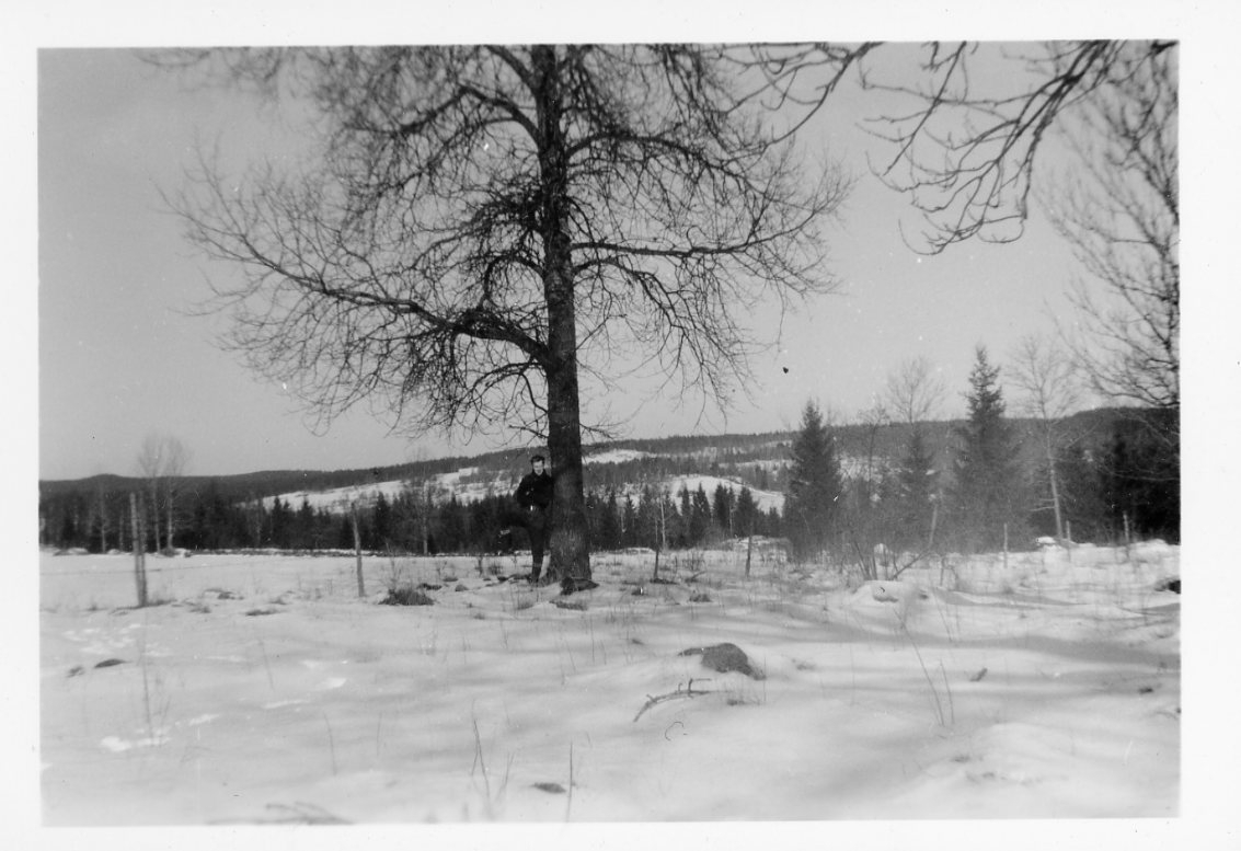 En okänd man står intill ett träd i ett vintrigt.