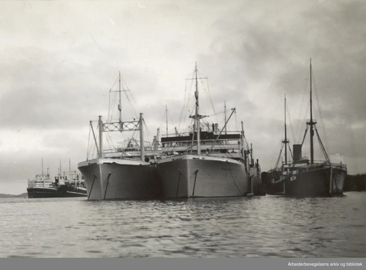 Hvalkokerier i Sandefjord havn. "Kosmos I" og "Kosmos II", til venstre "C. A. Larsen" og "James Clark Ross"...