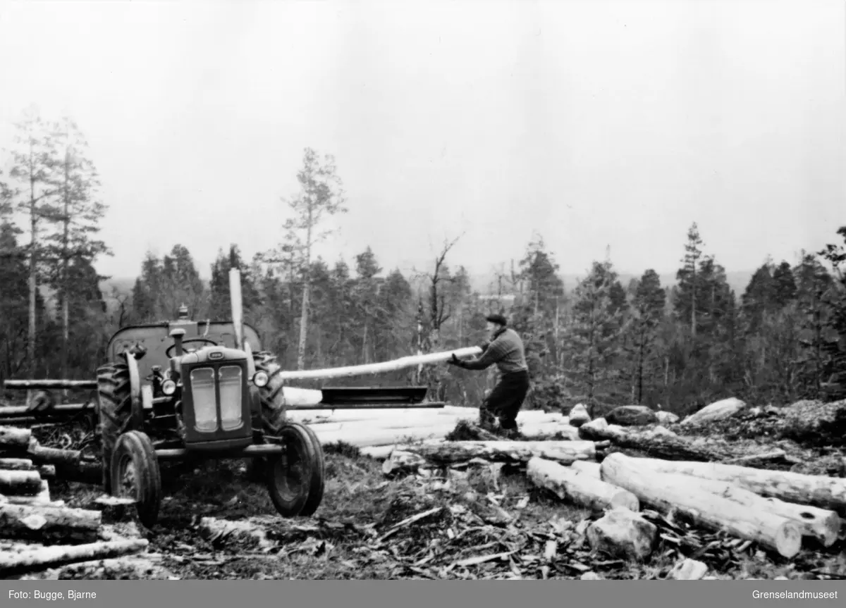 Tømmerkjøring med traktor i Pasvik.
