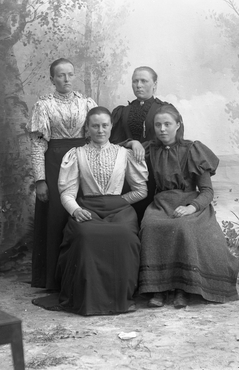 Fire kvinner, to står og to sitter.